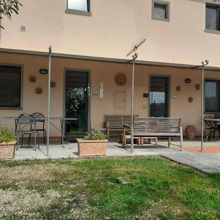 Agriturismo Podere Zollaio Vinci Dış mekan fotoğraf