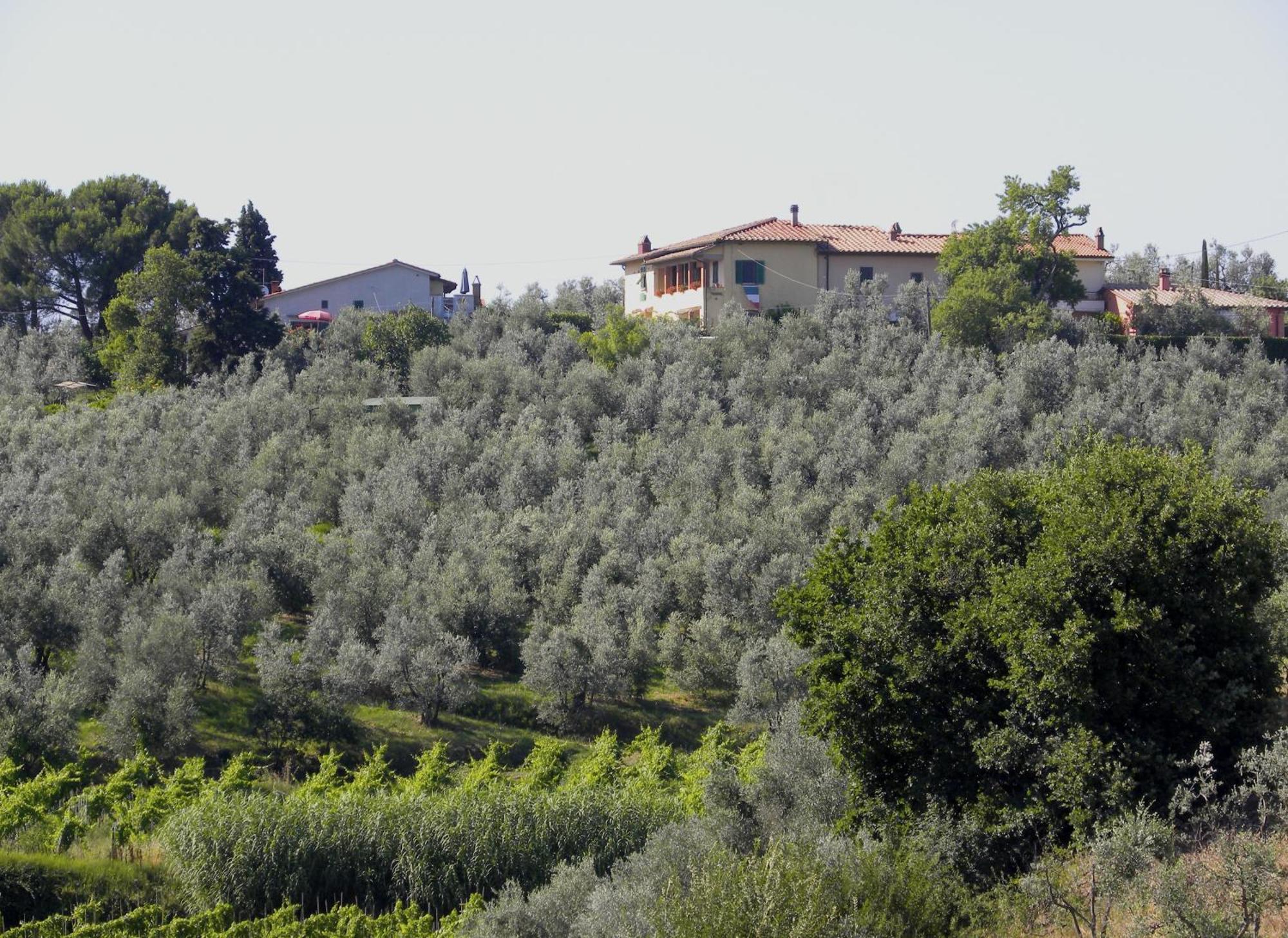 Agriturismo Podere Zollaio Vinci Oda fotoğraf